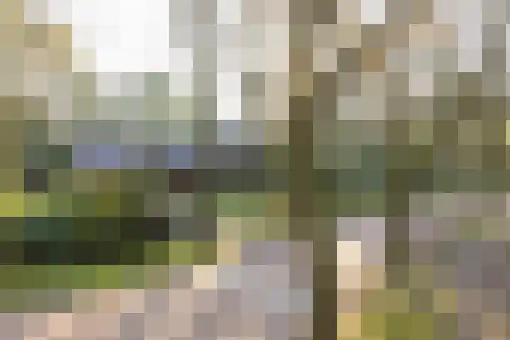 Bachlaan 9 Bilthoven thumbnail 50