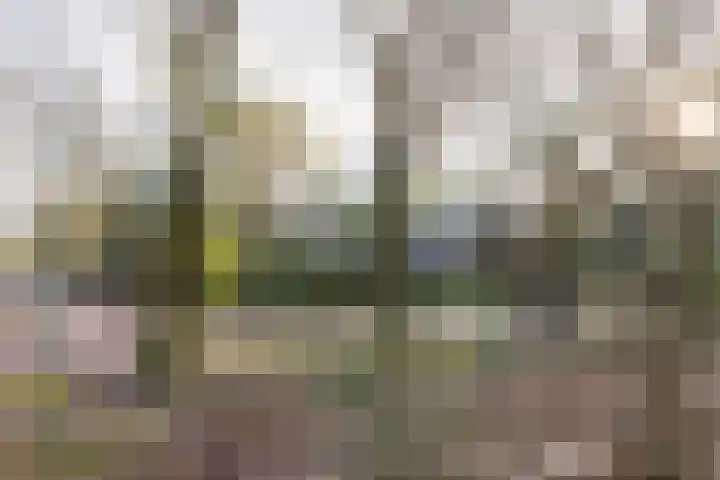 Bachlaan 9 Bilthoven thumbnail 51