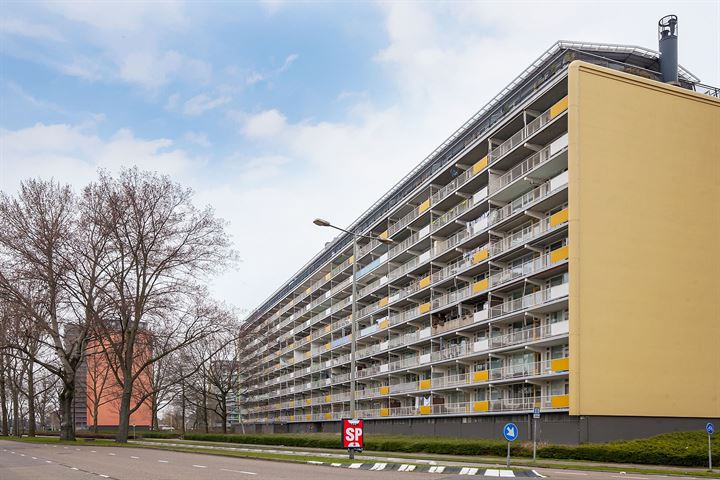 Bachplein 123 in Schiedam foto