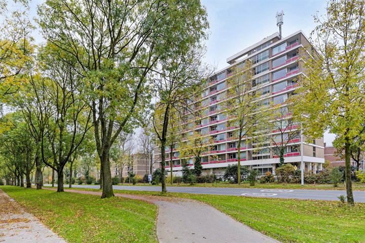 Bachstraat 134 in Leiden foto