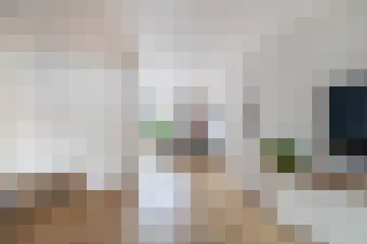 Bachstraat 2 Lisse thumbnail 13