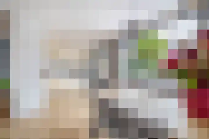 Bachstraat 2 Lisse thumbnail 15
