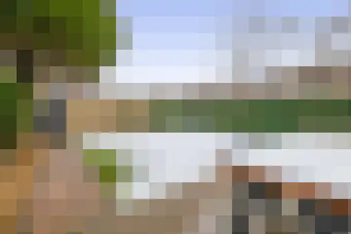 Bachstraat 2 Lisse thumbnail 20