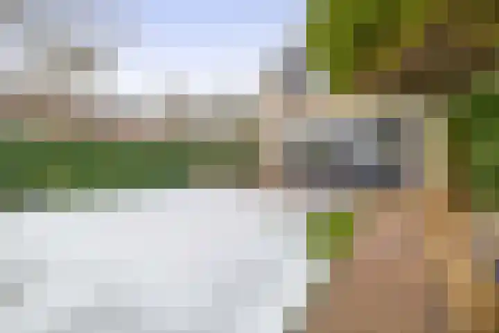 Bachstraat 2 Lisse thumbnail 23