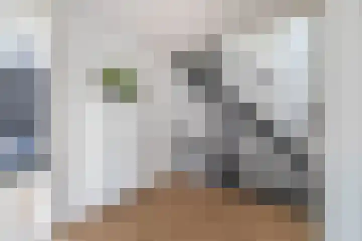 Bachstraat 2 Lisse thumbnail 27