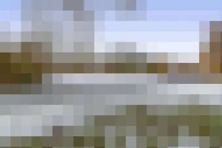 Bachstraat 2 Lisse thumbnail 43