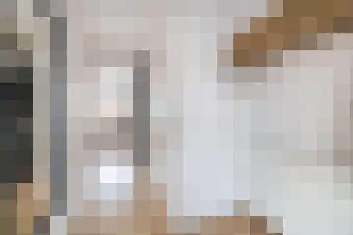 Bachstraat 2 Lisse thumbnail 6