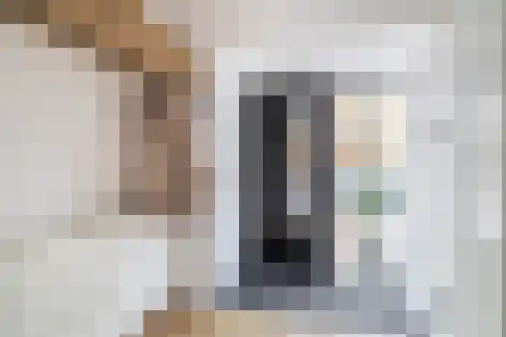 Bachstraat 2 Lisse thumbnail 8
