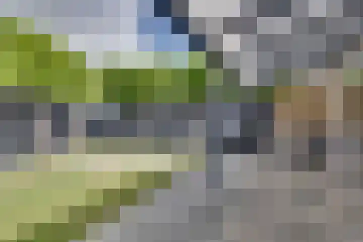 Bachstraat 20 Geleen thumbnail 32