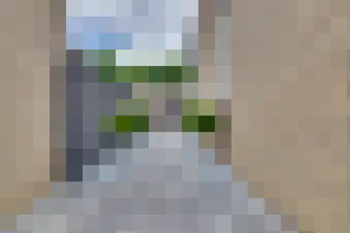 Bachstraat 20 Geleen thumbnail 35