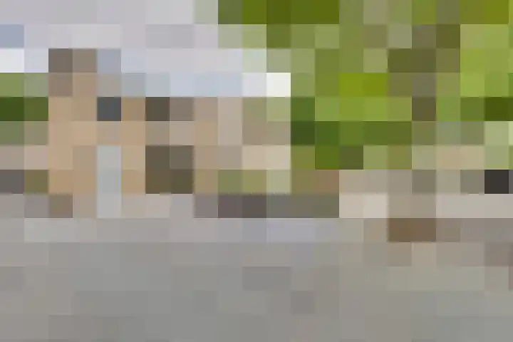 Bachstraat 20 Geleen thumbnail 39