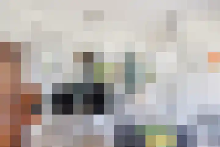 Bachstraat 24 Numansdorp thumbnail 10