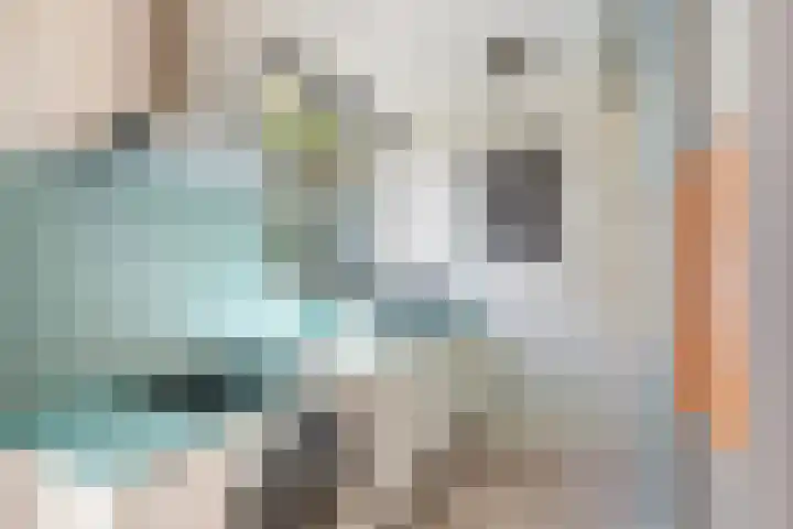 Bachstraat 24 Numansdorp thumbnail 11