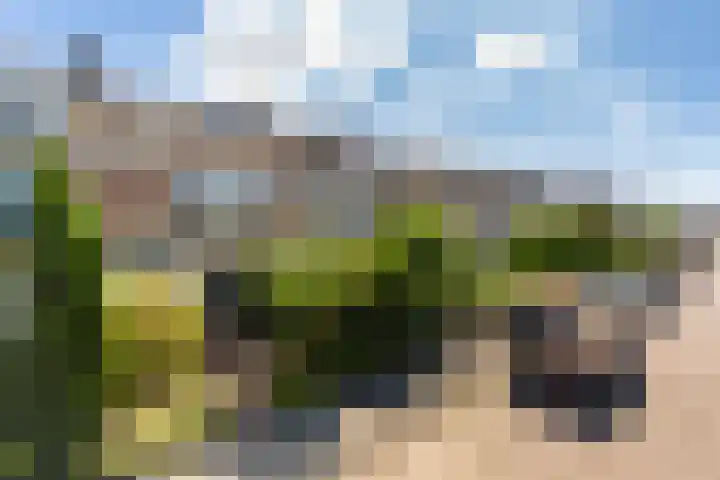 Bachstraat 24 Numansdorp foto 2