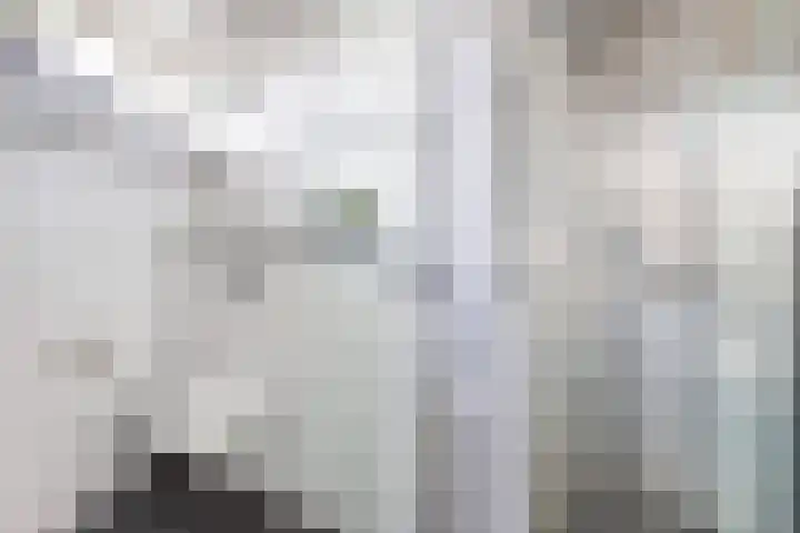 Bachstraat 24 Numansdorp thumbnail 23