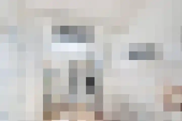 Bachstraat 24 Numansdorp thumbnail 25