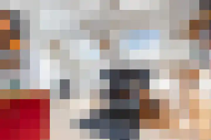 Bachstraat 24 Numansdorp thumbnail 27