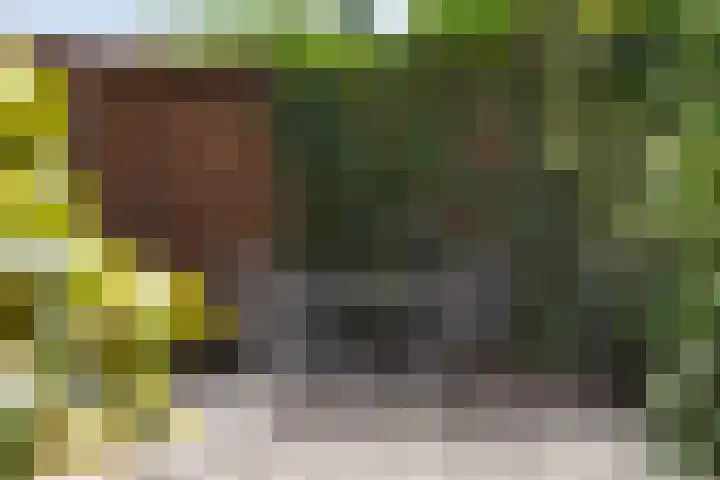 Bachstraat 24 Numansdorp thumbnail 31