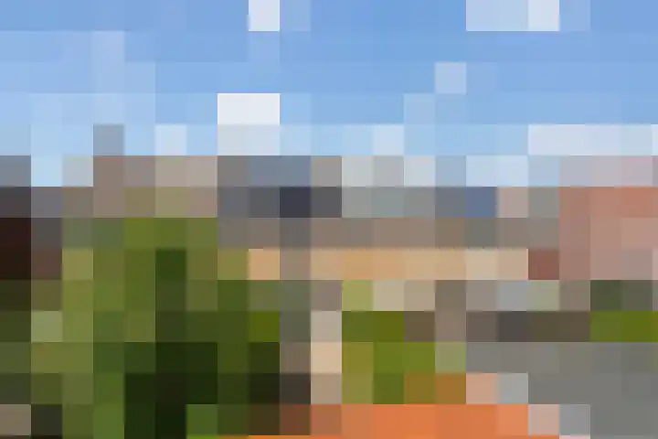 Bachstraat 24 Numansdorp thumbnail 33