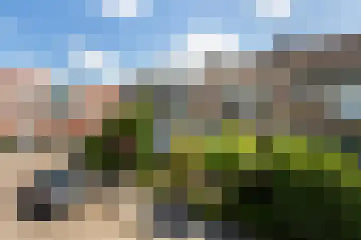 Bachstraat 24 Numansdorp thumbnail 35