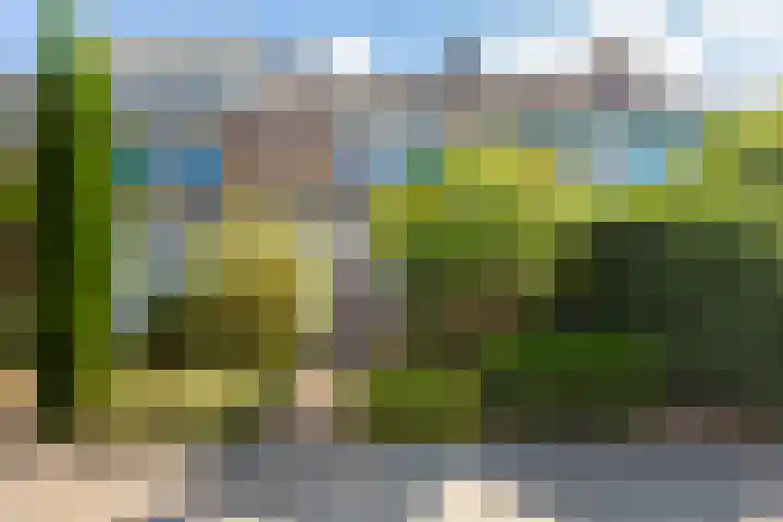 Bachstraat 24 Numansdorp thumbnail 45