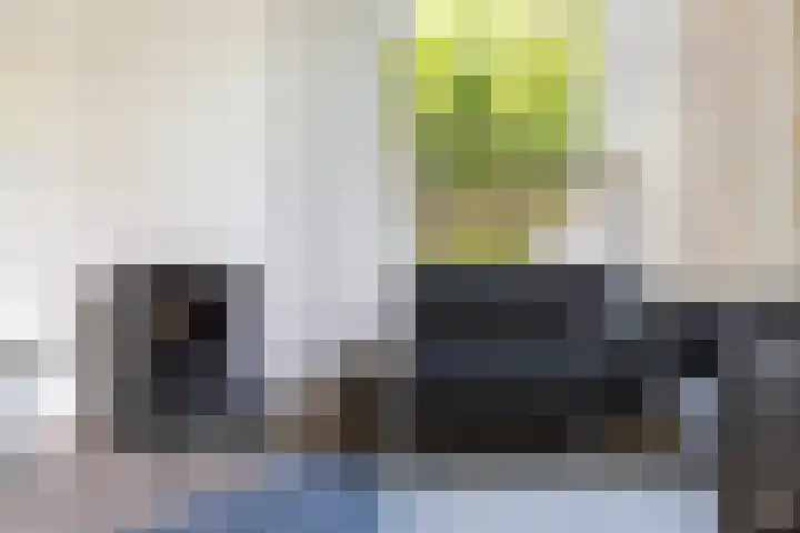 Bachstraat 24 Numansdorp thumbnail 6