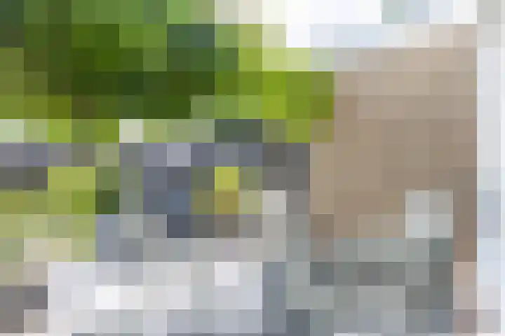 Bachstraat 29 Castricum thumbnail 38