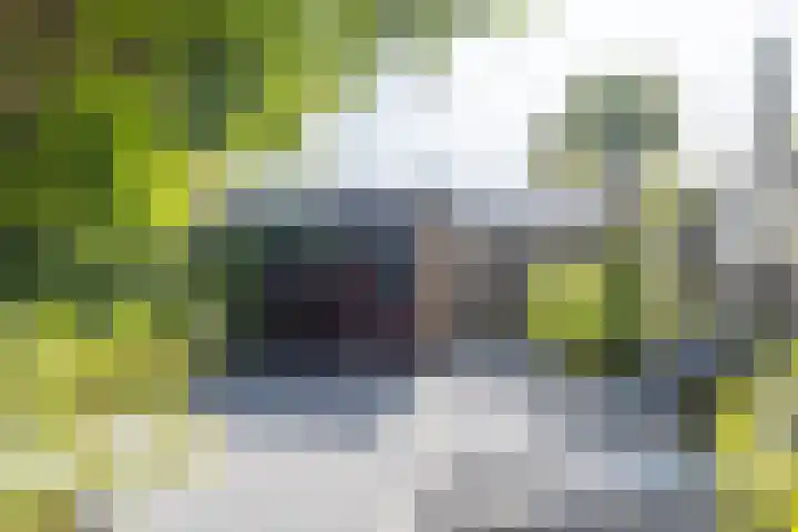 Bachstraat 29 Castricum thumbnail 39
