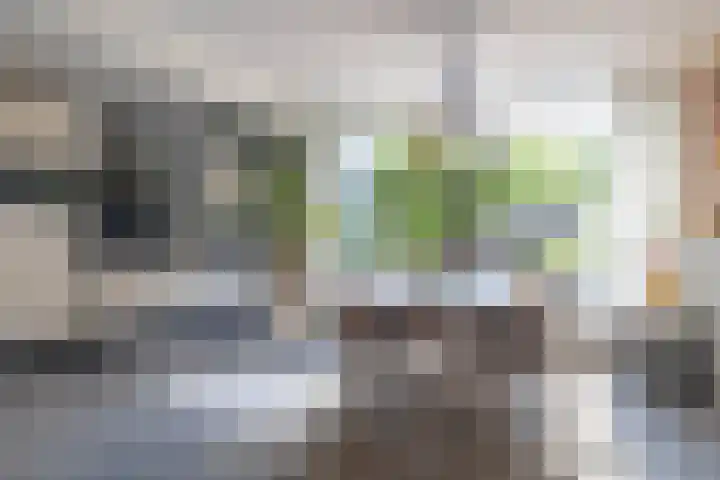 Bachstraat 29 Castricum thumbnail 8