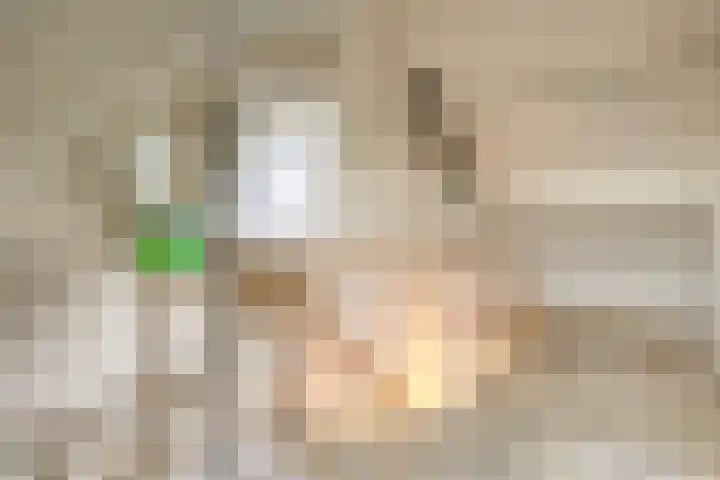Bachstraat 3 Boxtel thumbnail 23