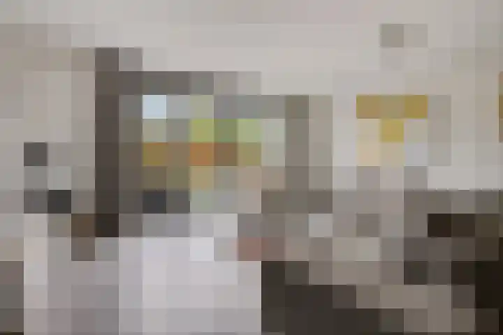 Backenhagen 9 Leusden thumbnail 12