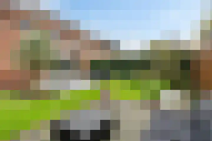 Backenhagen 9 Leusden thumbnail 28
