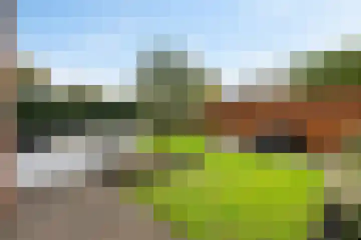 Backenhagen 9 Leusden thumbnail 29