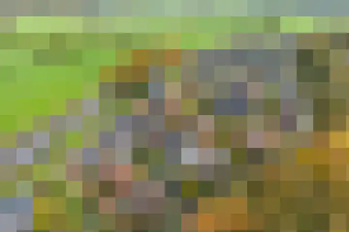 Backenhagen 9 Leusden thumbnail 32