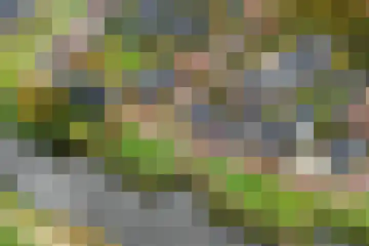 Backenhagen 9 Leusden thumbnail 33