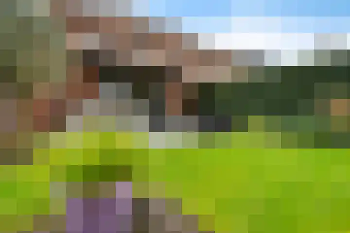 Backenhagen 9 Leusden thumbnail 4