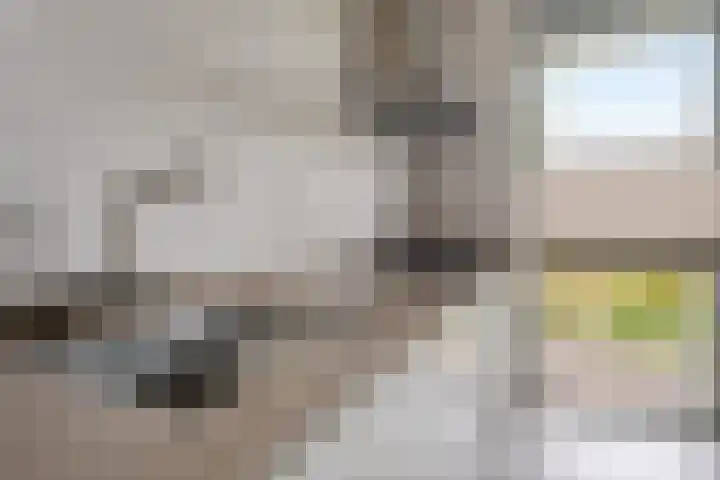 Backenhagen 9 Leusden thumbnail 9