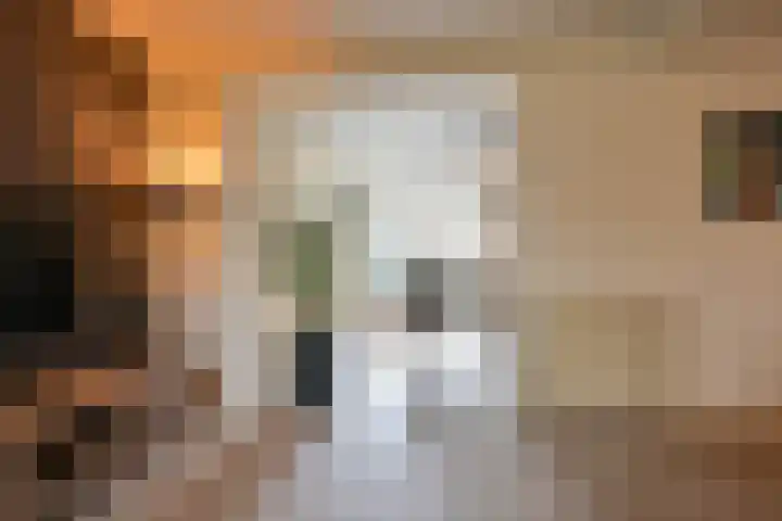 Badhuisweg 11 Exloo thumbnail 16