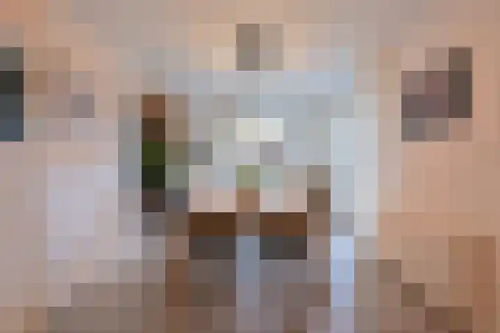 Badhuisweg 11 Exloo thumbnail 22