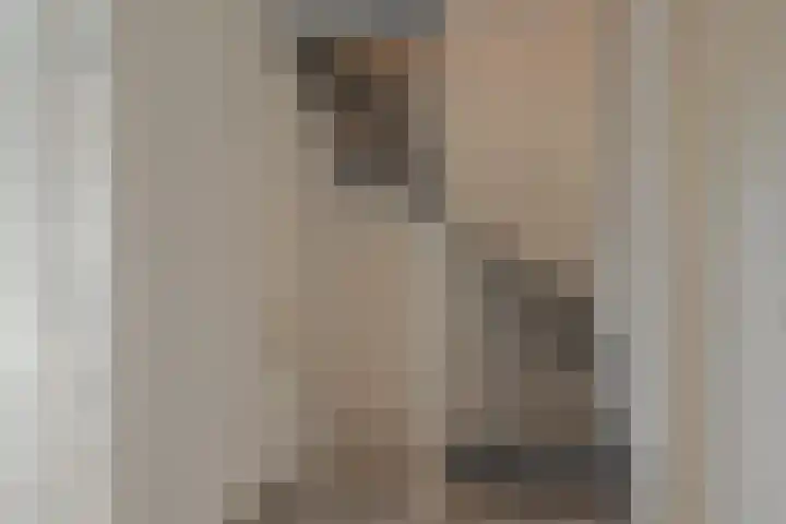 Badhuisweg 11 Exloo thumbnail 29
