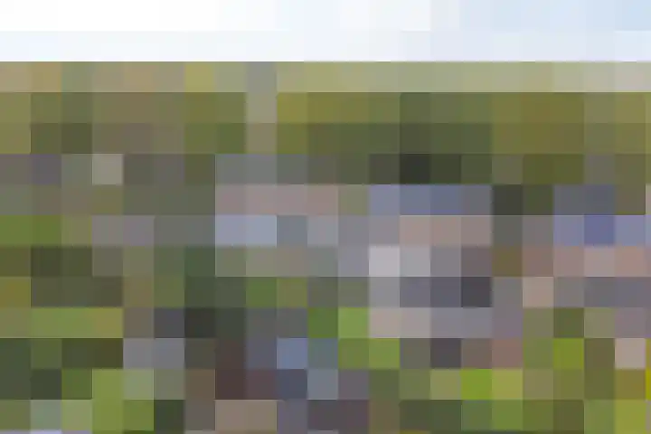 Badhuisweg 11 Exloo thumbnail 4