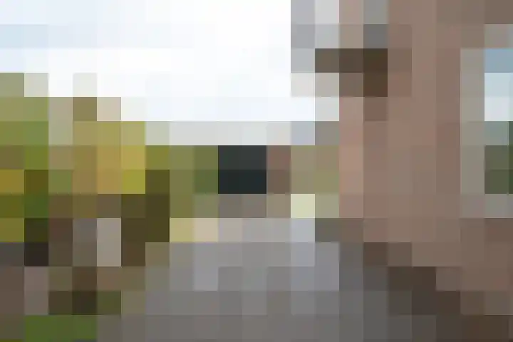 Badhuisweg 11 Exloo thumbnail 46
