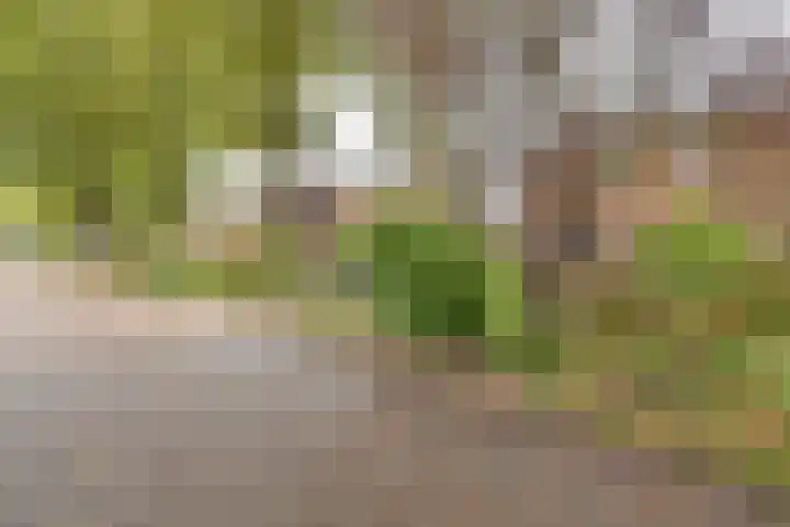 Badhuisweg 11 Exloo thumbnail 5
