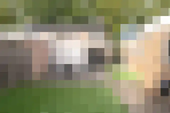 Badhuisweg 11 Exloo thumbnail 52