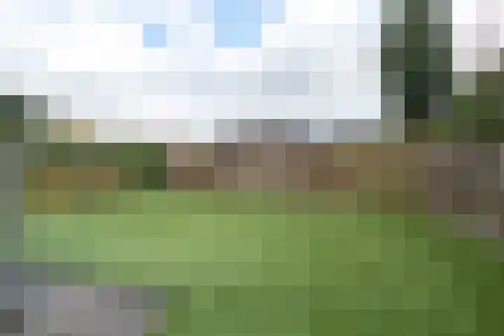 Badhuisweg 11 Exloo thumbnail 53