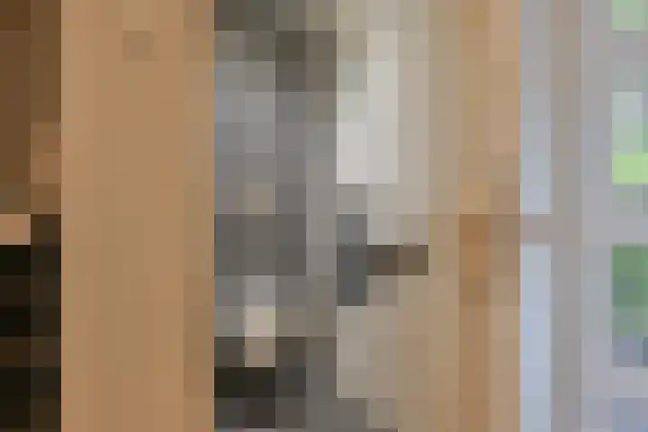 Badhuisweg 11 Exloo thumbnail 9