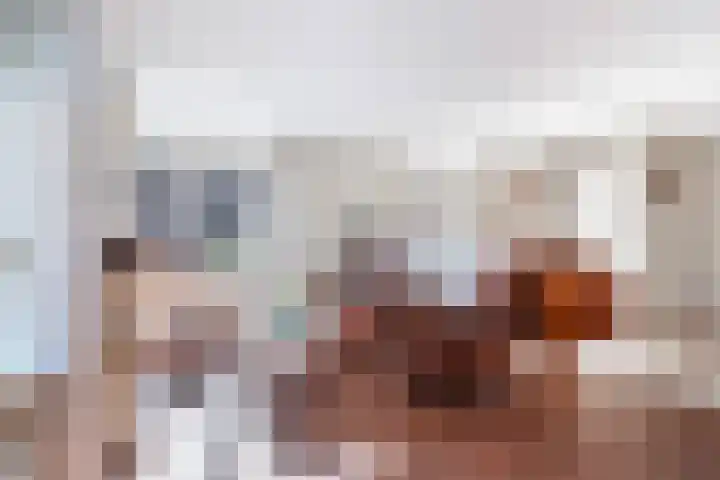 Badhuisweg 3 Ermelo thumbnail 17