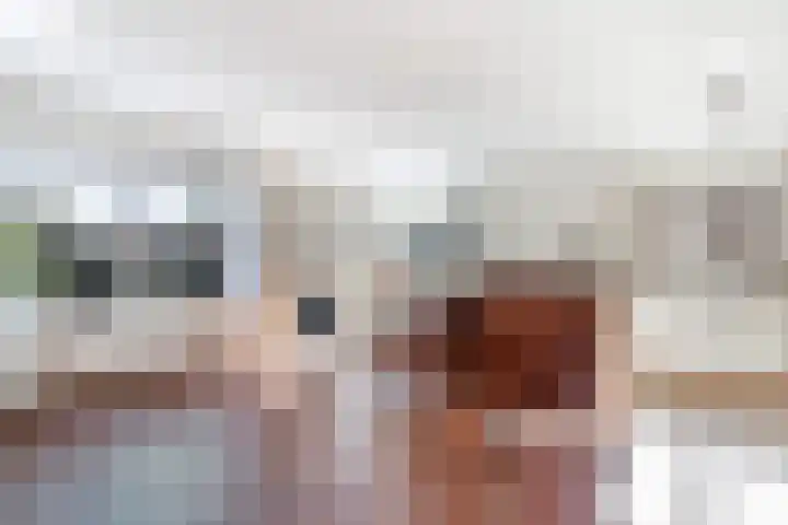 Badhuisweg 3 Ermelo thumbnail 19