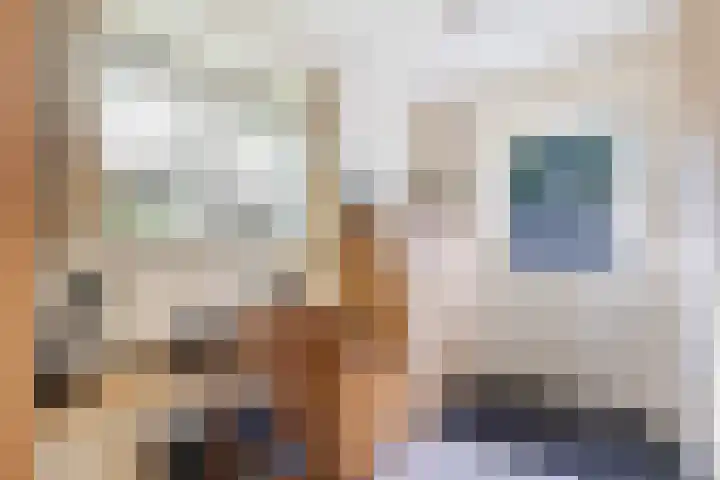 Badhuisweg 3 Ermelo thumbnail 24