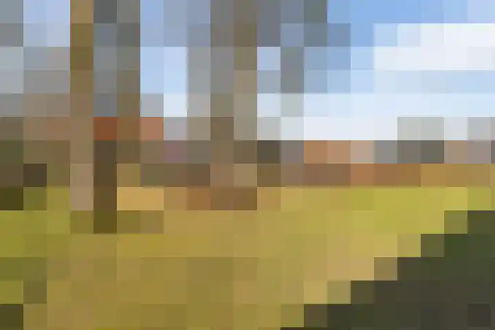 Badhuisweg 3 Ermelo foto 3